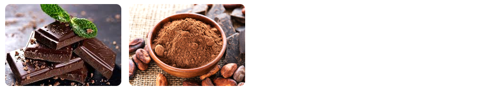 dark chocolate and cocoa powder