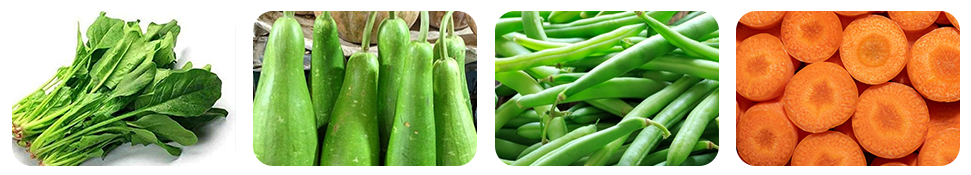 fill half your plate with vegetables