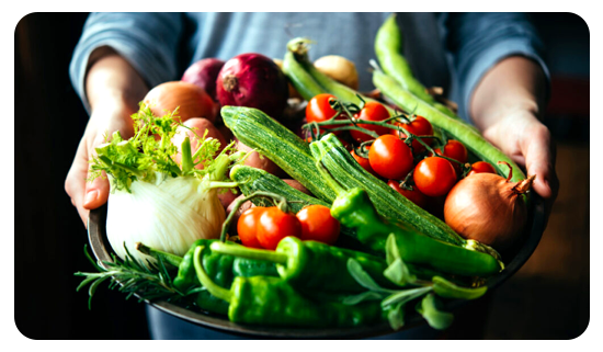 fresh and high quality ingredients