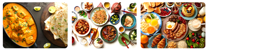 multi cuisine catering services