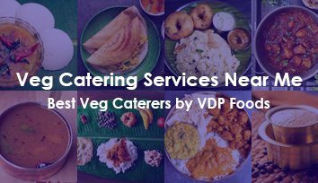 veg catering services near me small