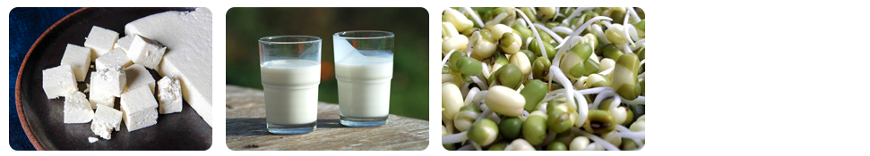 zinc rich indian vegetarian foods